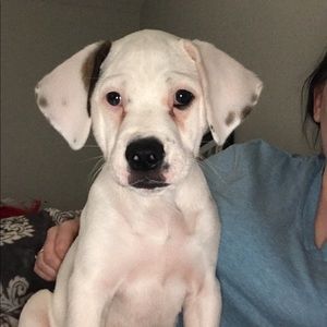 Meet your Posher, Lana